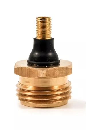 Camco 36153 Brass Blow-Out Plug with Schrader Valve for RV Winterization